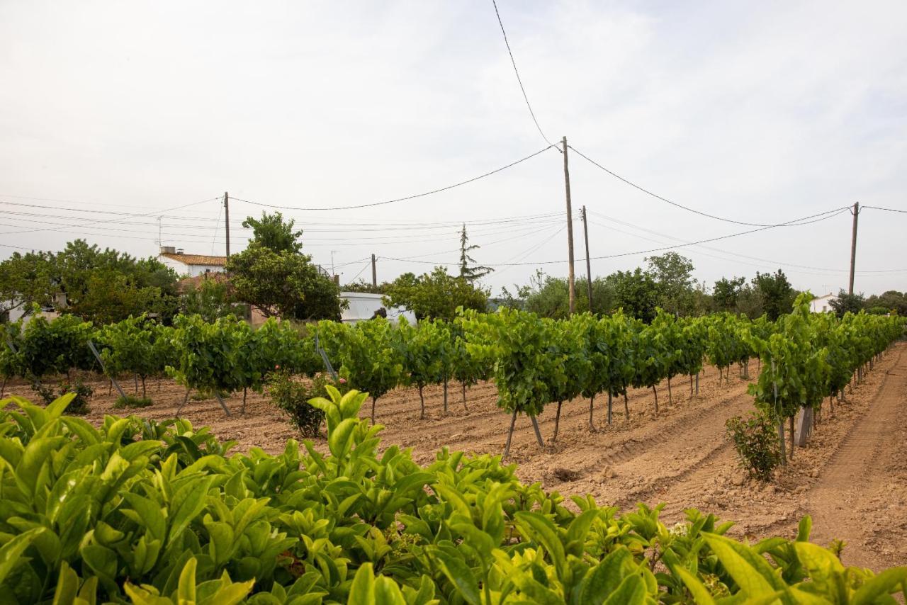 Masia Cal Sisplau, Con Piscina Y Rodeada De Vinedos A 10 Minutos De Vilafranca Del Penedes, Barcelona ,Cataluna San Martín Sarroca Eksteriør bilde